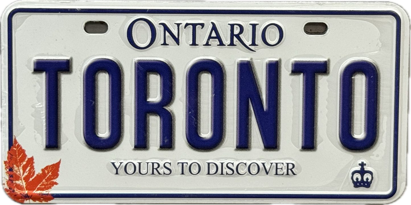 License plate magnets