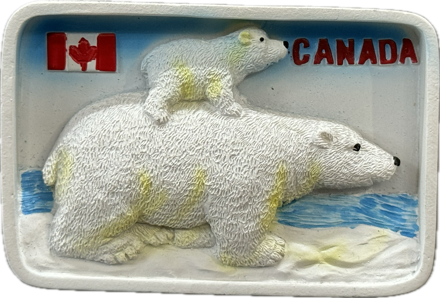 Animal Magnets