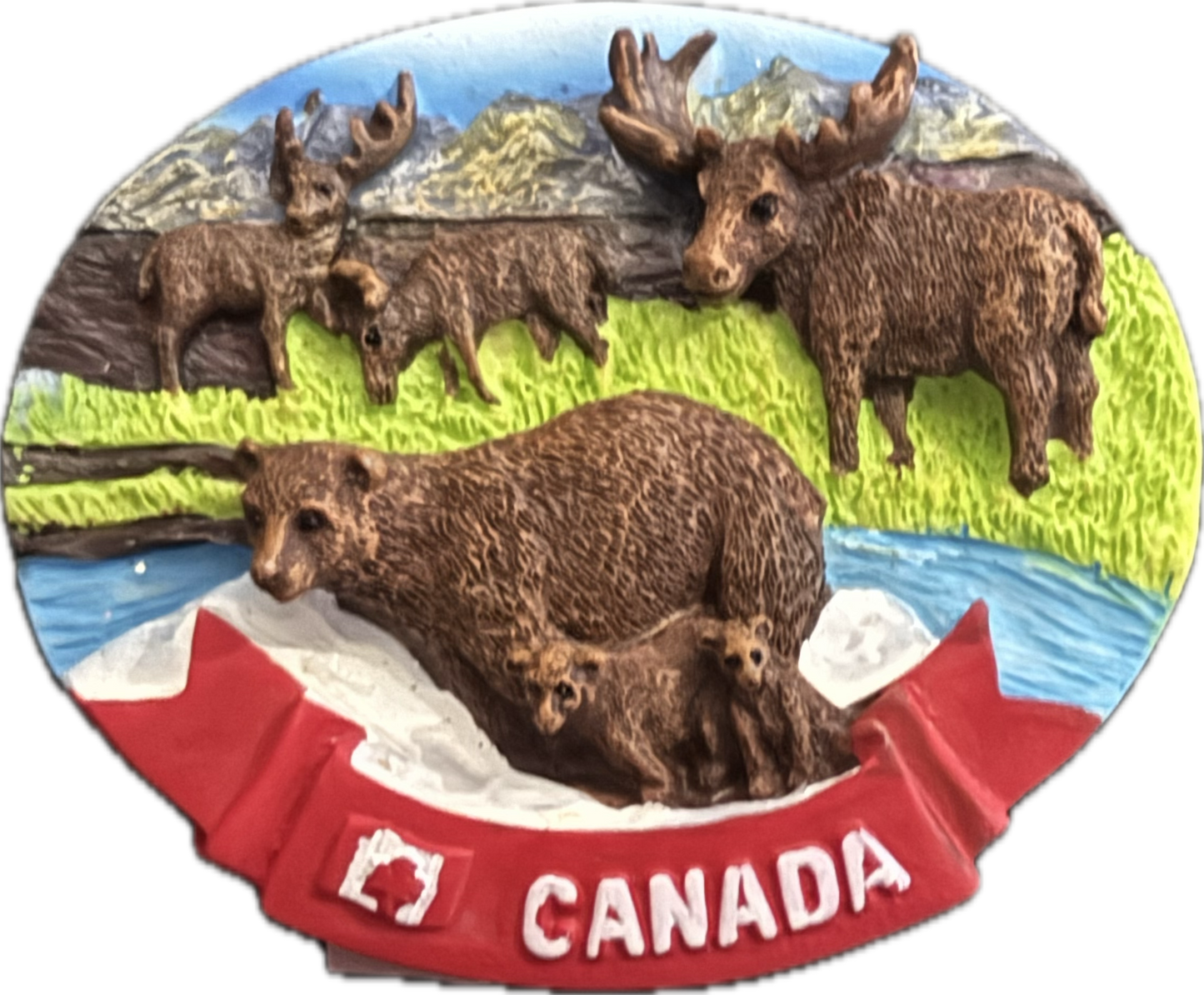 Animal Magnets