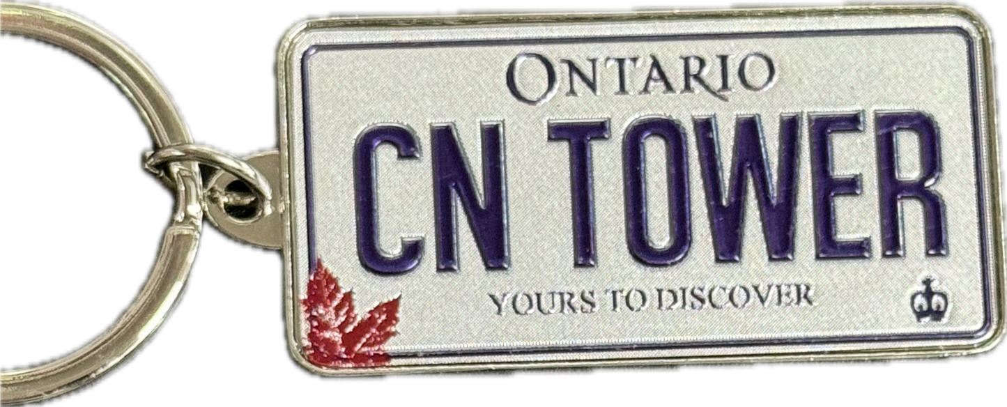 License Plate Keychains