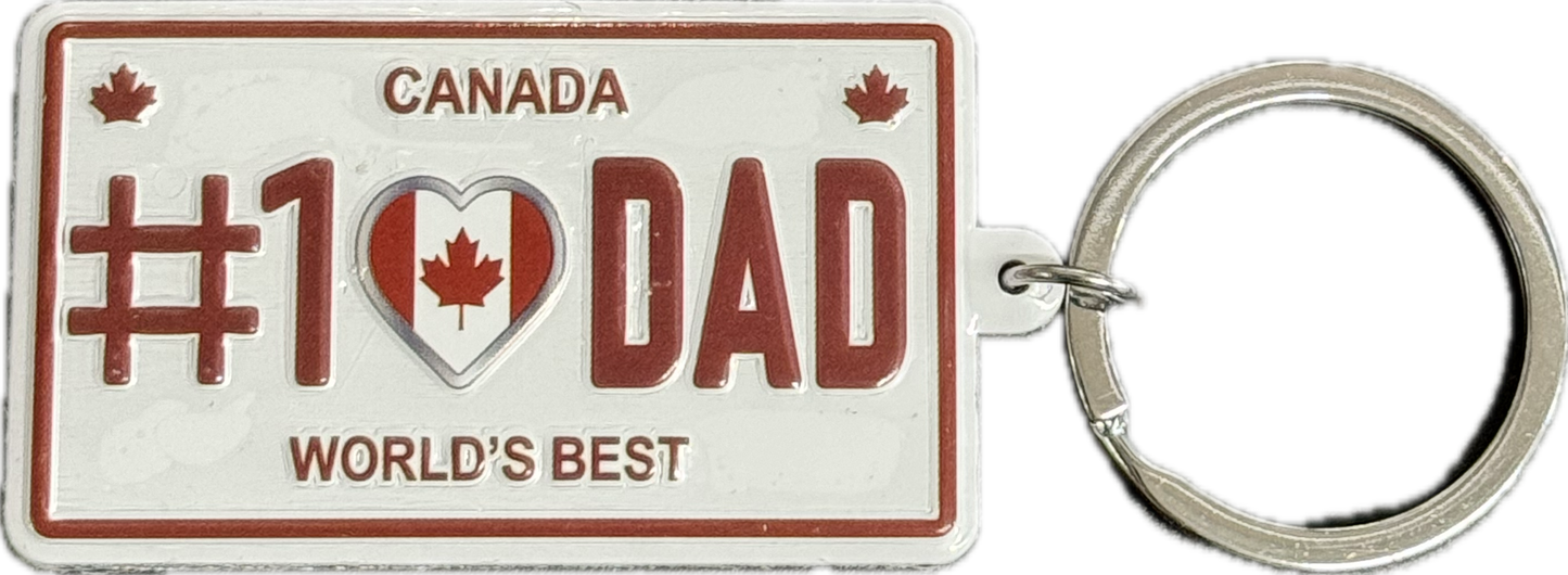 License Plate Keychains