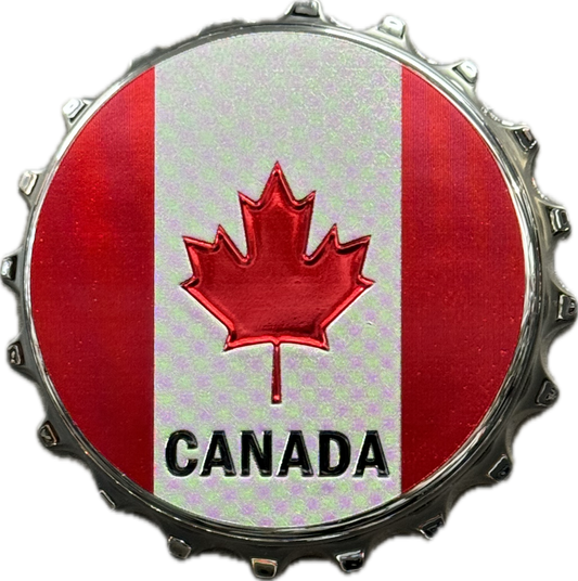 Bottlecap Magnets