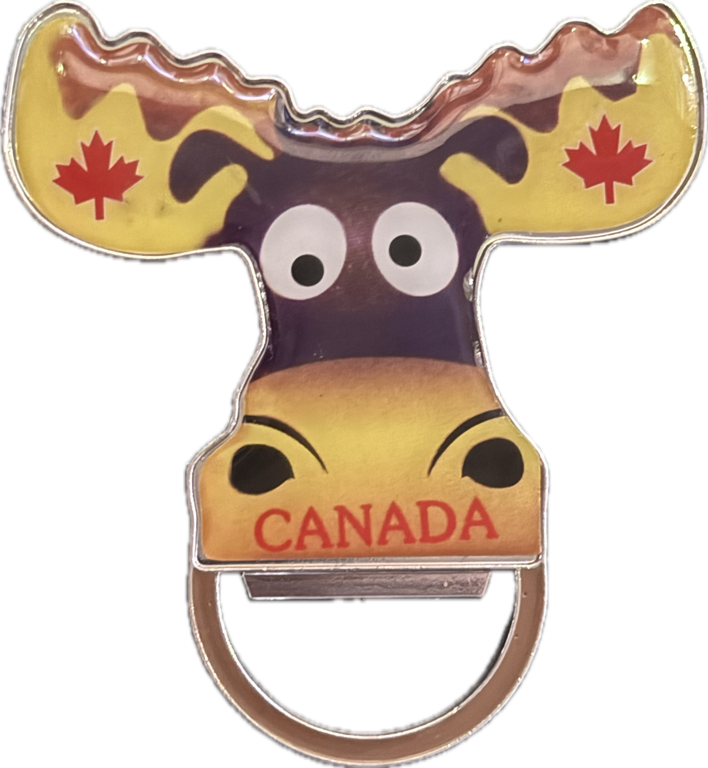 Bottle opener & magnets