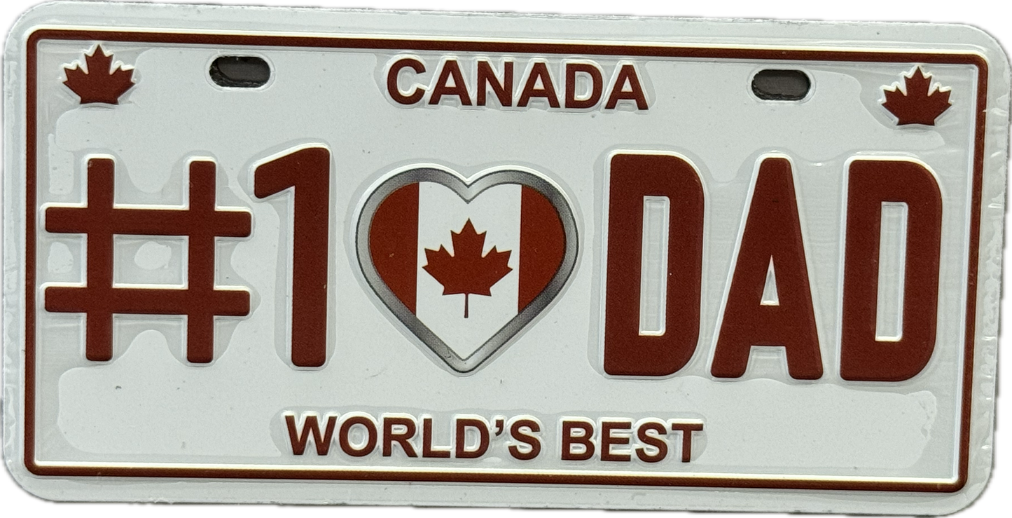 License plate magnets