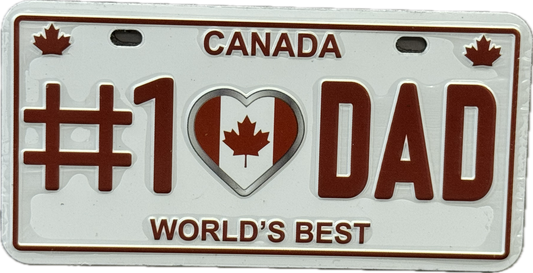 License plate magnets