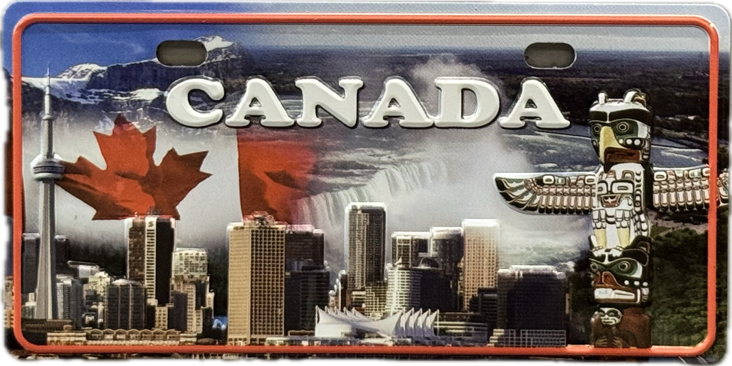 License plate magnets