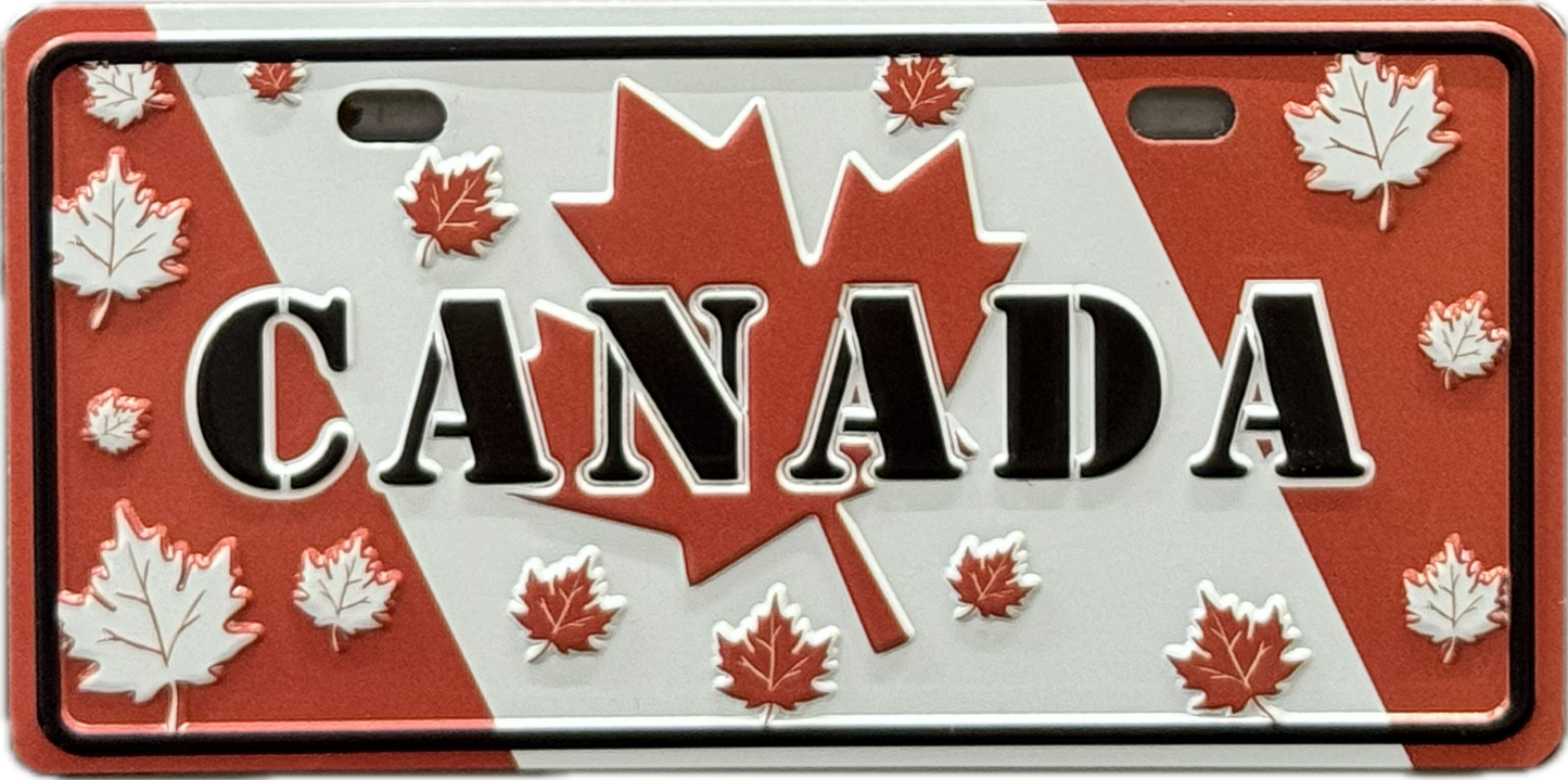 License plate magnets